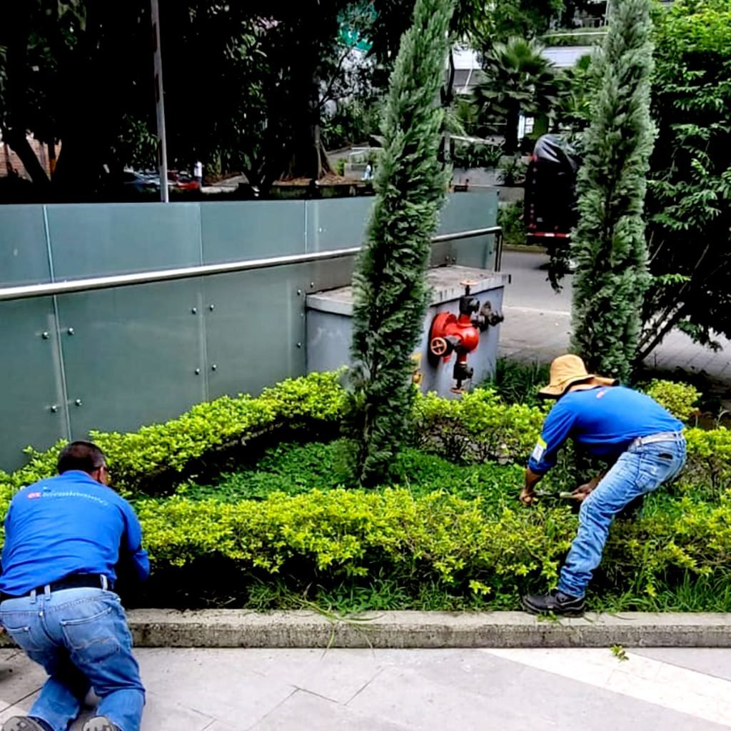 MANTENIMIENTO-JARDINES-1-1024x1024