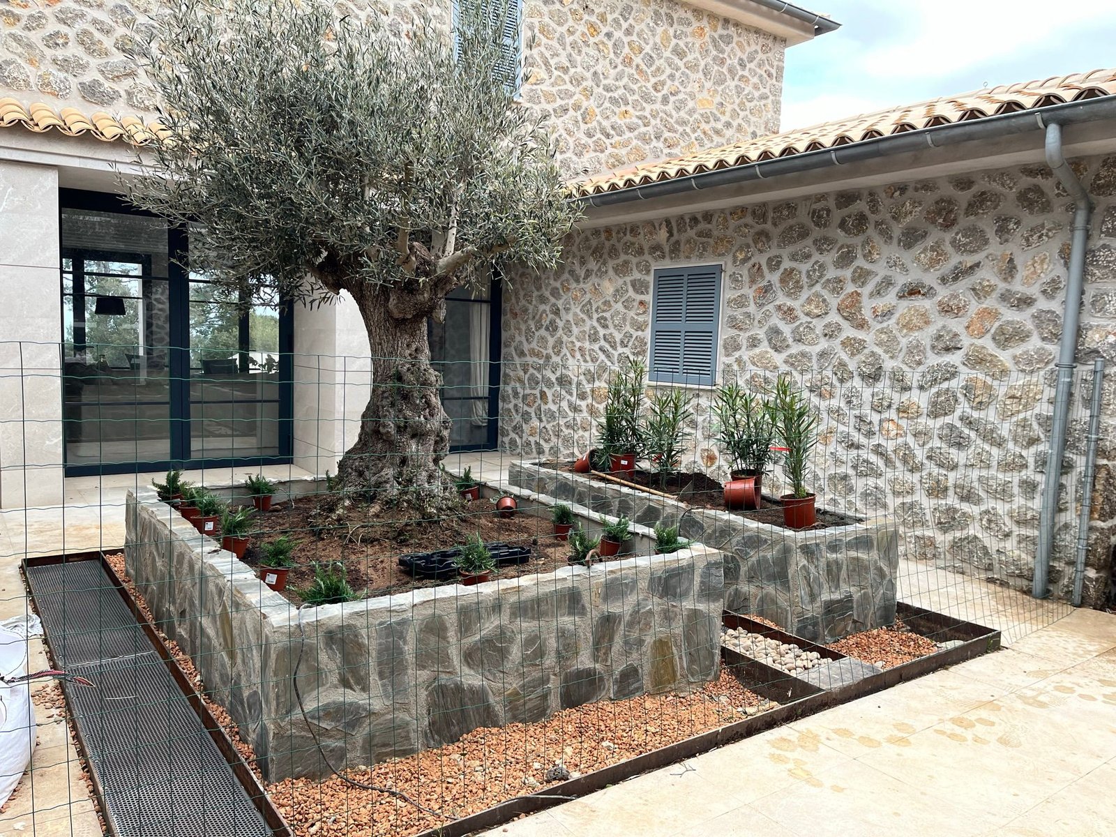 WhatsApp Image 2025-06-10 at 18.13.17